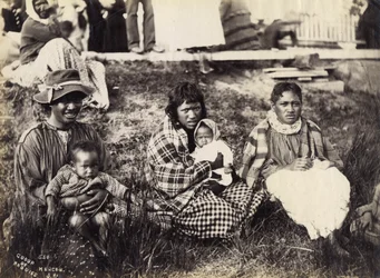 Groupe de Maoris, Mercer, c.1895 (tirage albuminé)